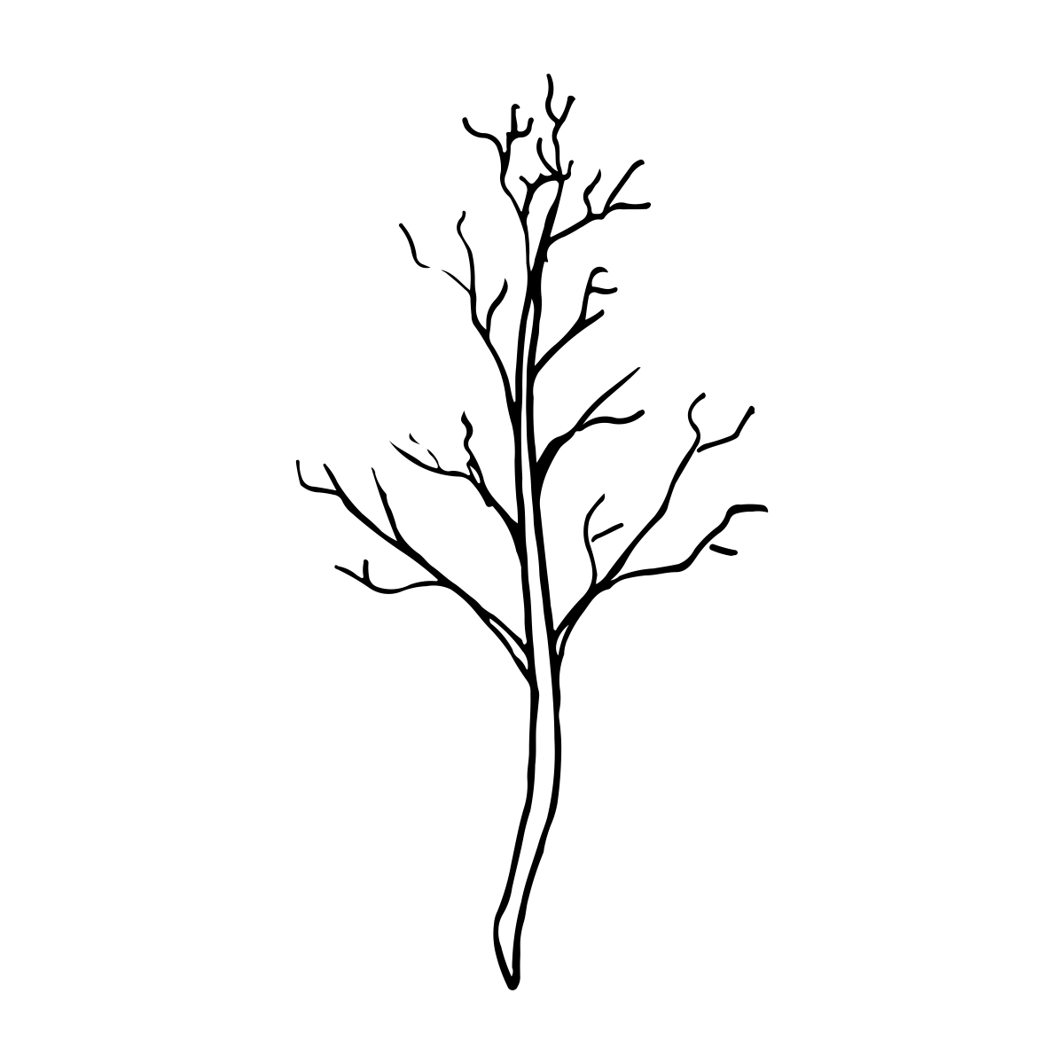 noun_Branch_1823085_000000 noun_Branch_1823085_000000
