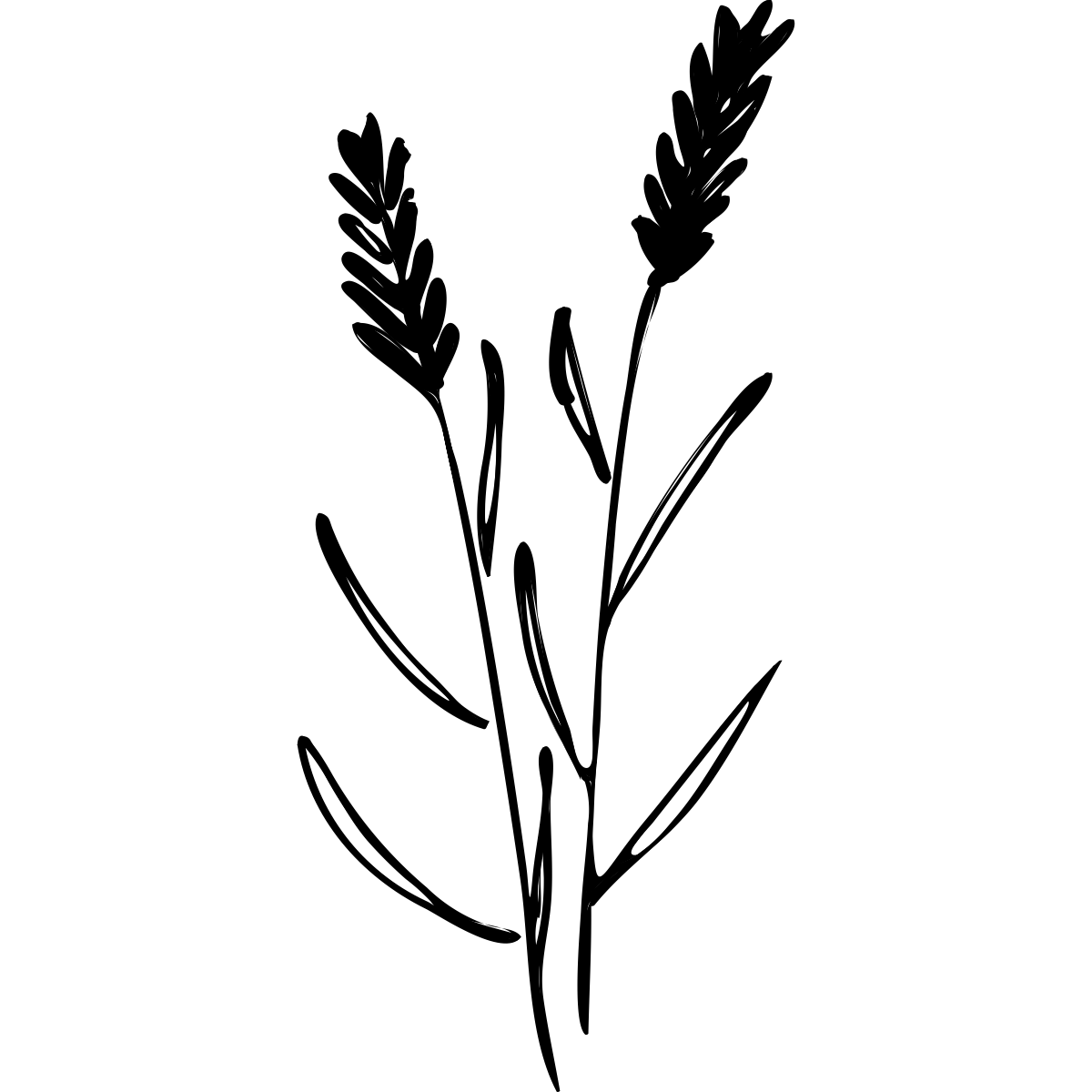 noun_Plant_1604455_000000 noun_Plant_1604455_000000