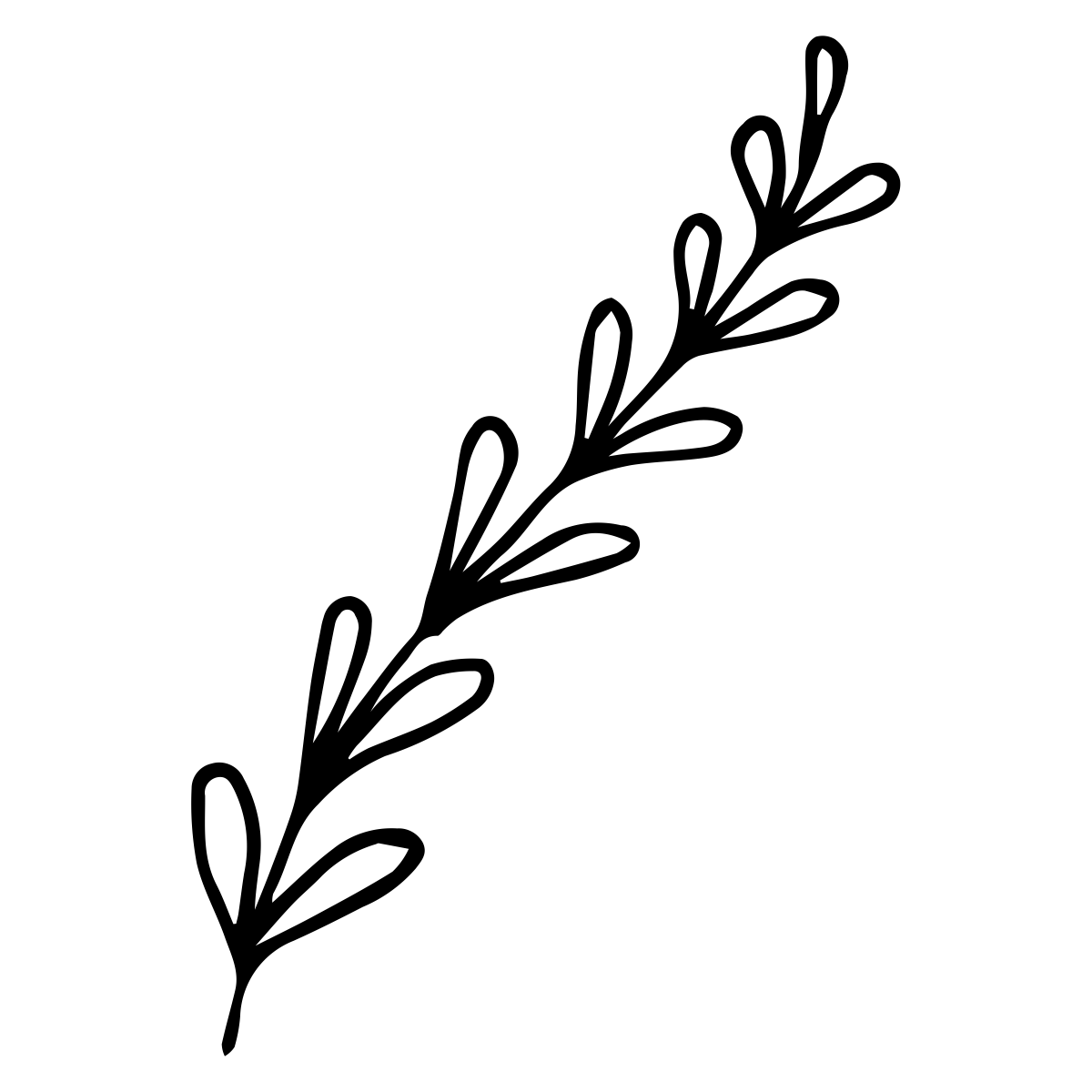 noun_Plant_1624827_000000 noun_Plant_1624827_000000