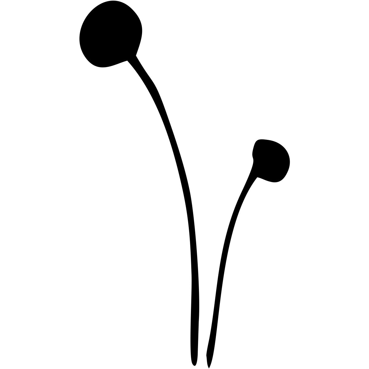 noun_Plant_1774606_000000 noun_Plant_1774606_000000