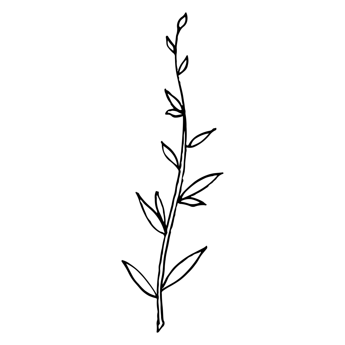 noun_Plant_1823086_000000 noun_Plant_1823086_000000