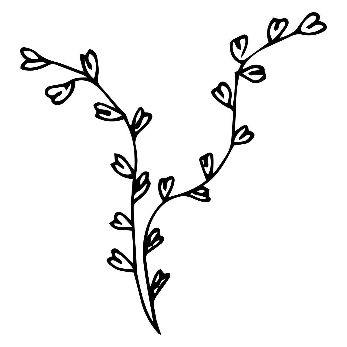noun_Plant_1827957_000000 noun_Plant_1827957_000000