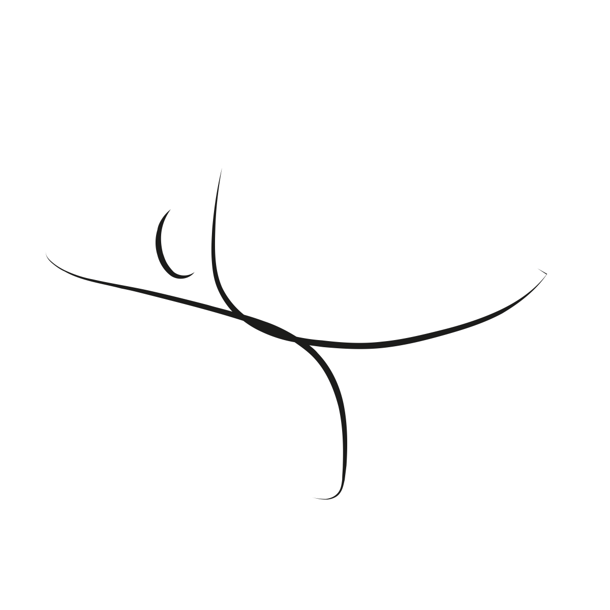 noun_balance dancer_1155848_000000 noun_balance dancer_1155848_000000